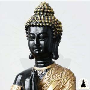 Buddha Statue Black & Gold Resin Buddha (23 cm) Zen Meditation Decoration (3)
